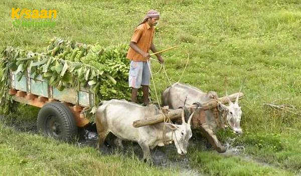 बाजार पहुंच के लिए समय पर समर्थन आंध्र ऑफसेट कोविड -19 प्रभाव में 14 एफपीओ ने मदद की: टेक्नोसर्व